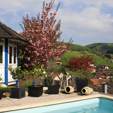Panoramaferienwohnung Monika Mit Pool * Schuttertal