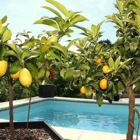 דירה Panoramaferienwohnung Monika Mit Pool *