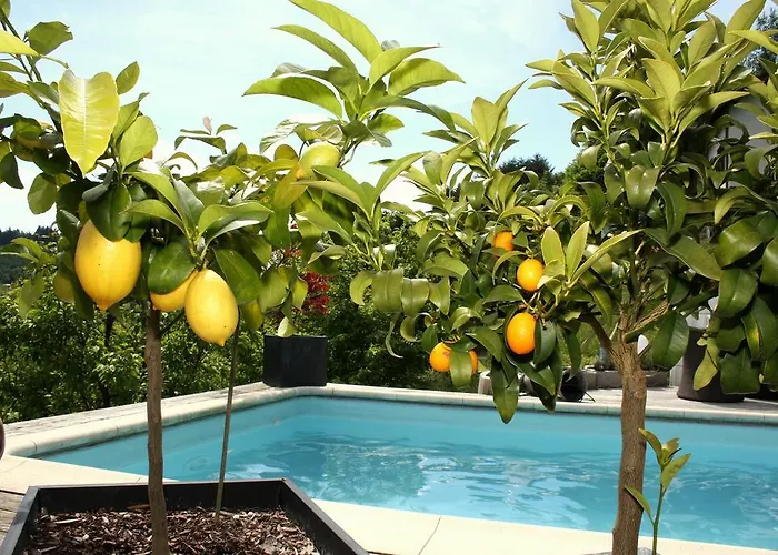 Appartamento Panoramaferienwohnung Monika Mit Pool *