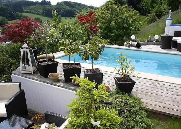 Appartamento Panoramaferienwohnung Monika Mit Pool *